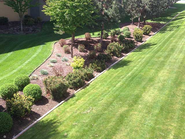 Apex Premier Property Services Landscape maintenance lawns and gardens near apts