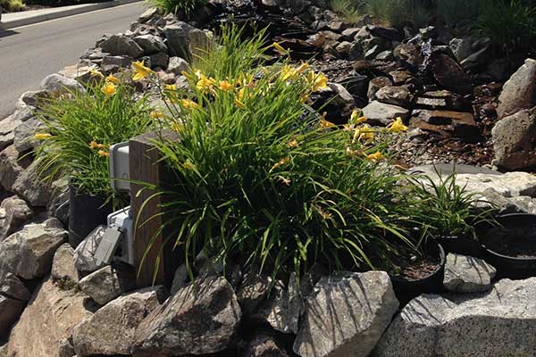 Apex-Premier-Property-Services-Rock-Landscape